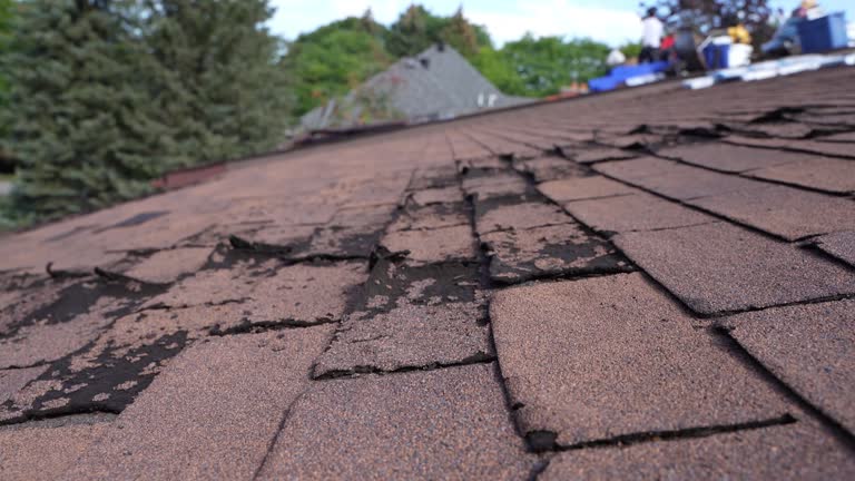 Best Sheet Metal Roofing  in Terryville, NY