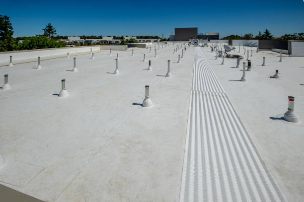 Best Roof Leak Repair  in Terryville, NY